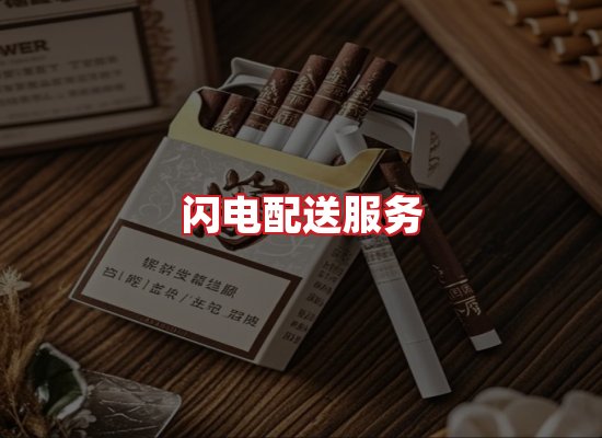 专业团队